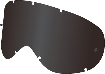 Dragon Alliance - Dragon Alliance Polarized Anti-Fog Lens for NFX Goggles 722-1530