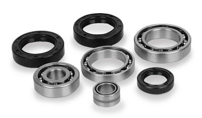 Quad Boss - Quad Boss Differential Bearing and Seal Kit 25-2071